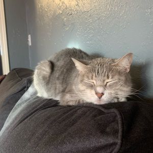 Meet your Posher, Wesley